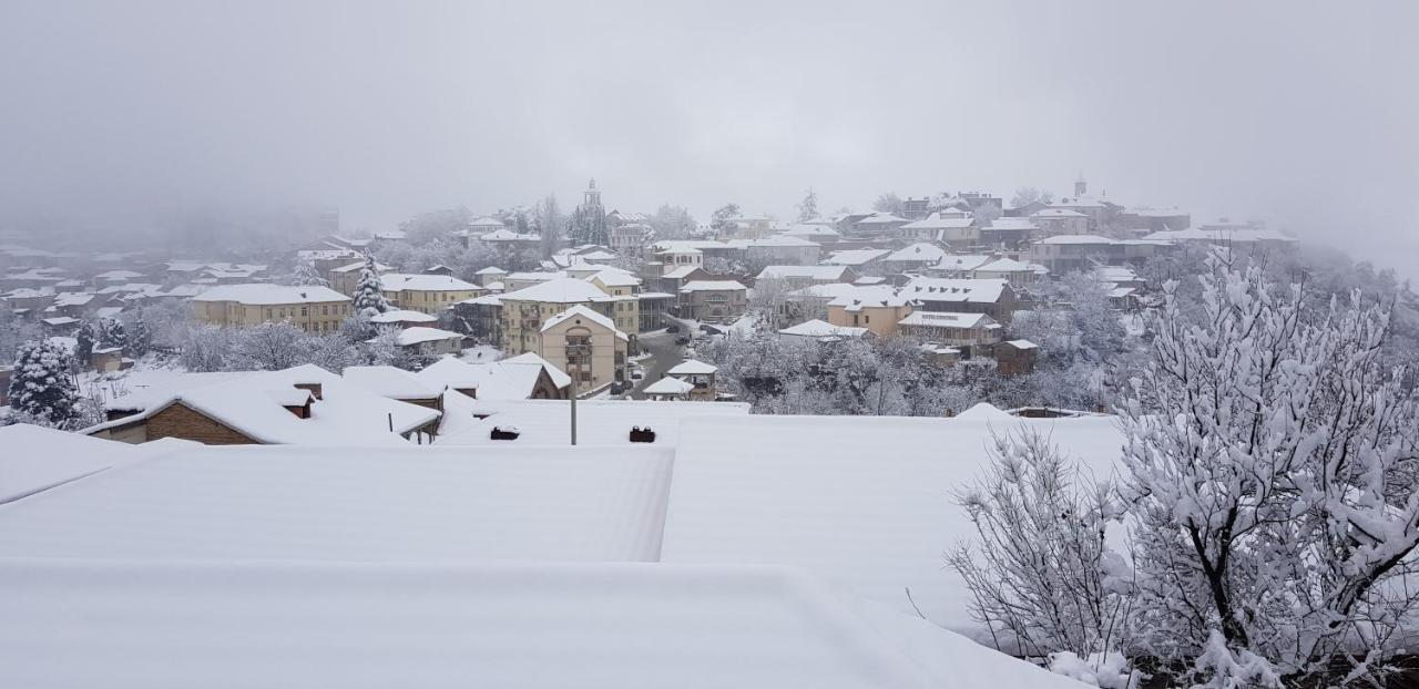 Hotel Traveler Sighnaghi Εξωτερικό φωτογραφία